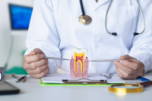 Best Pediatric Emergency Dentist in Lyndonville, VT